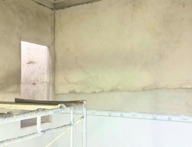 CẬP NHẬT TIẾN ĐỘ GIA ĐÌNH CHÚ TUẤN